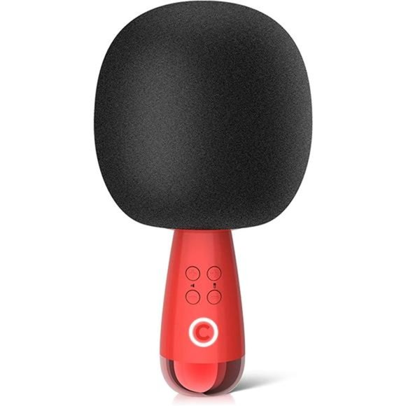 Karaoke Speaker Microphone Wireless Bluetooth TWS Microphones&Speaker 2 in1 - Picture 1 of 6